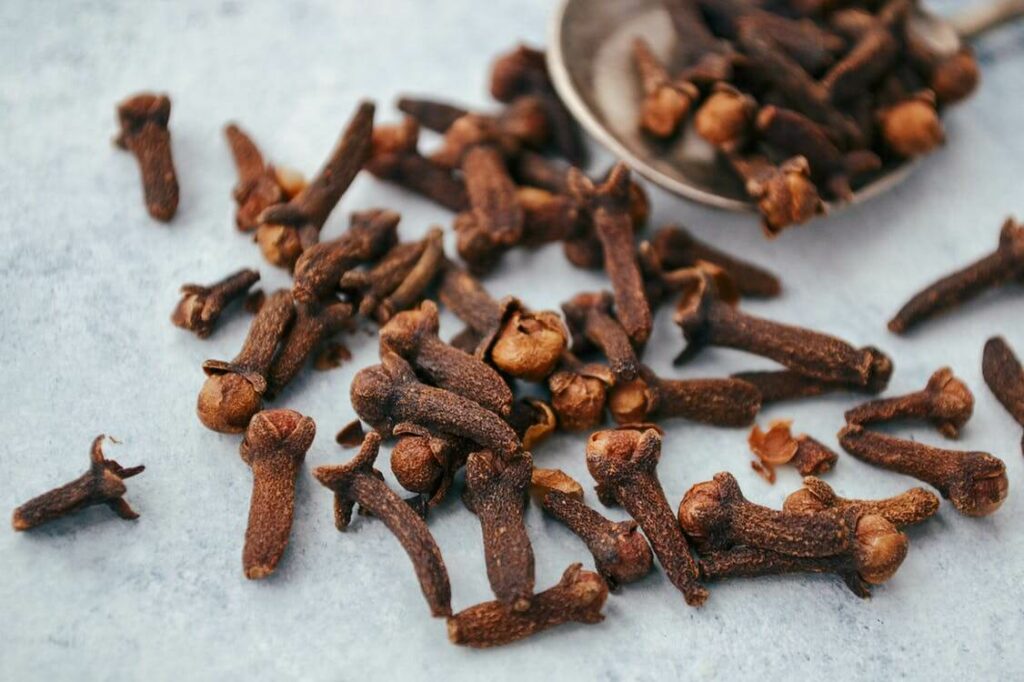 how to get rid of rats at home using cloves