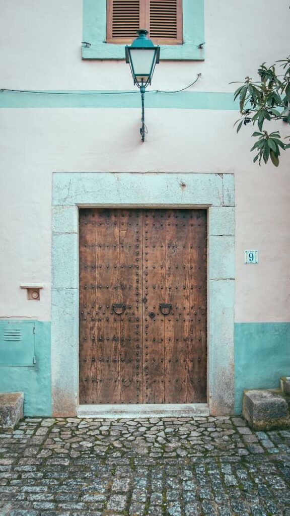 old royal rajasthani main door design