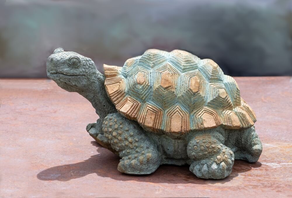 A Feng Shui turtle