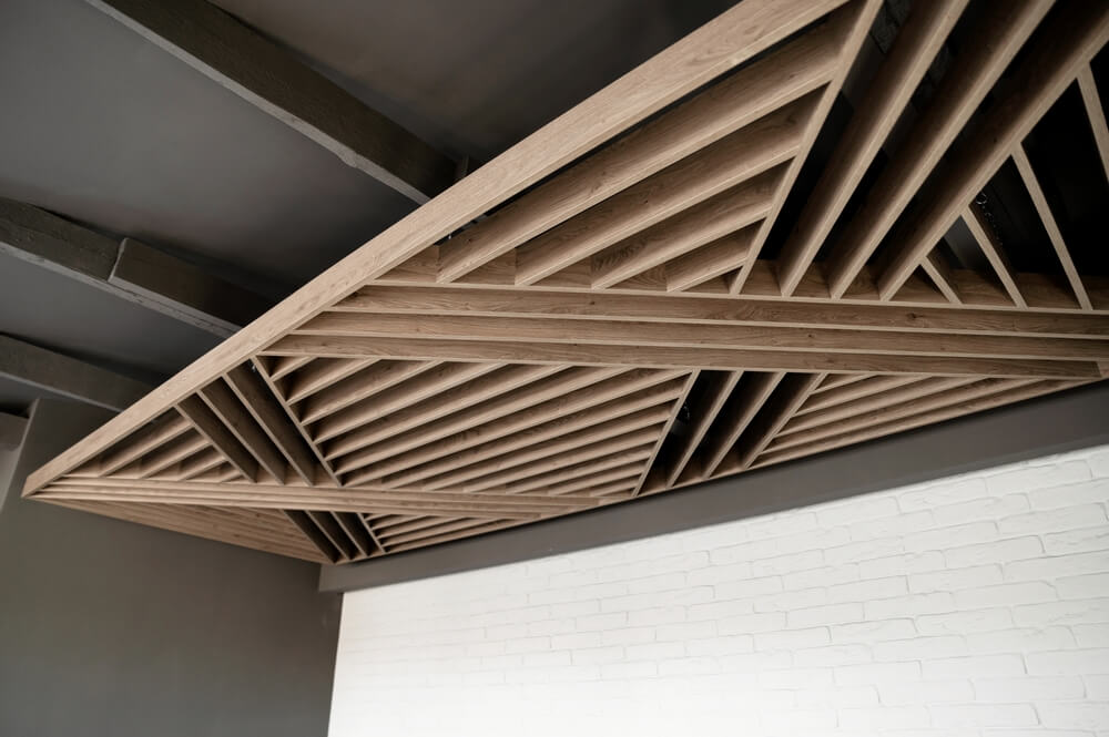 designer hall false ceiling