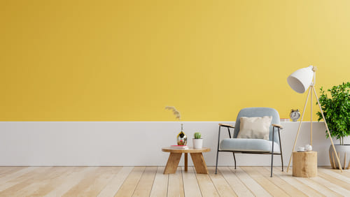 Pastel Yellow Wall Colour