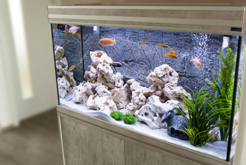 decorative items for aquarium